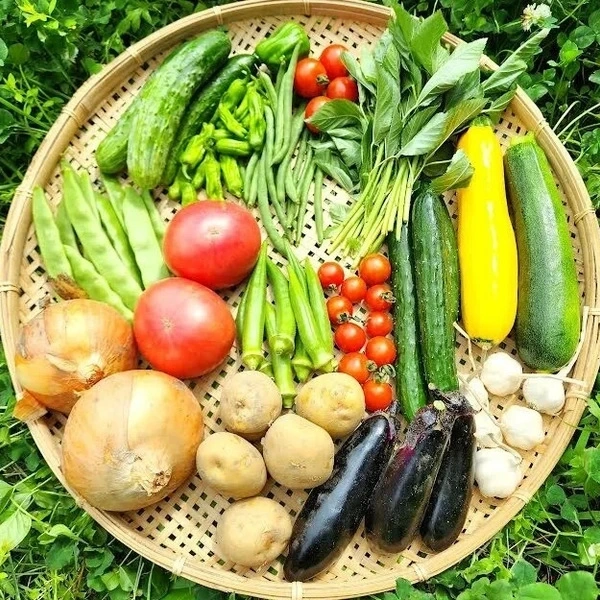 レビュー・口コミ一覧：信州の朝霧と寒暖差が育てた とれたて旬の野菜