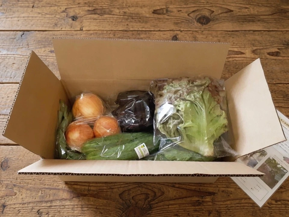 【お中元・夏ギフト】信州の朝霧と寒暖差が育てた 朝採れ旬野菜セット(熨斗対応可)〈農薬・化学肥料不使用〉