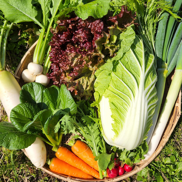 無農薬無化学肥料 旬の野菜セット（現在は冬野菜セット♪） ふるば村