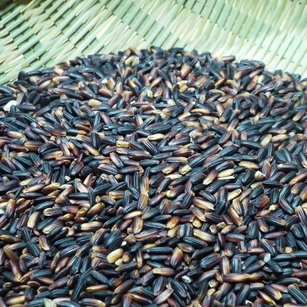 国産の無農薬雑穀米｜こだわり農家から直送 - たべるとくらすと