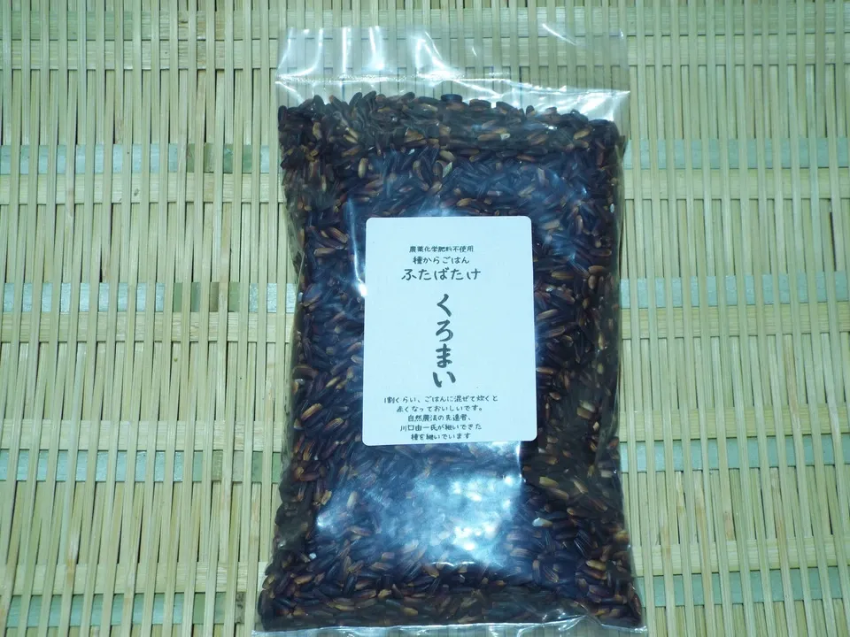 農薬・動物性肥料不使用ではざかけ天日干し<種継ぎ黒米/朝紫>古代からの味わい香り高くもちもち食感