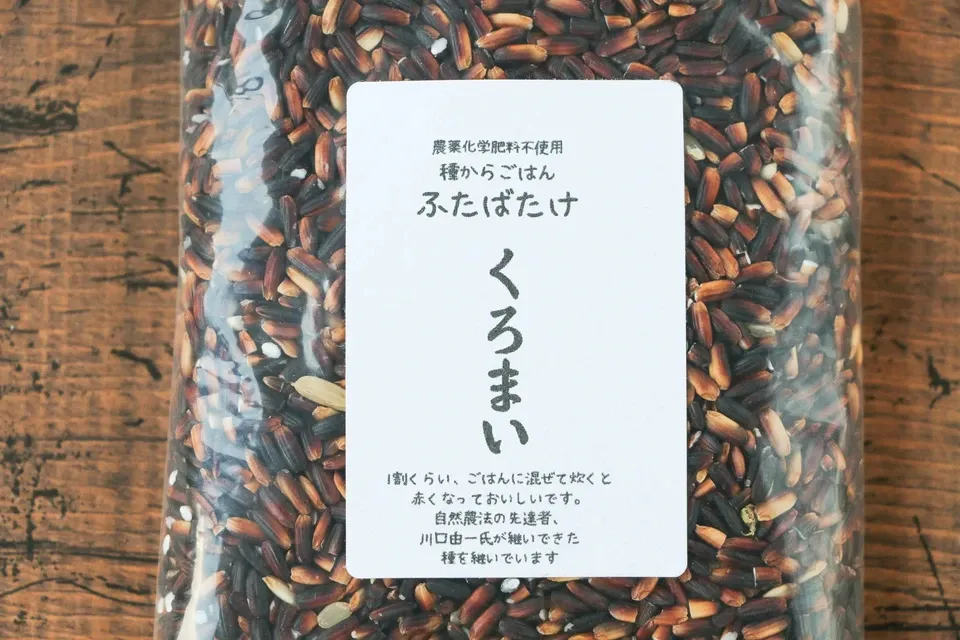 農薬・動物性肥料不使用ではざかけ天日干し<種継ぎ黒米/朝紫>古代からの味わい香り高くもちもち食感