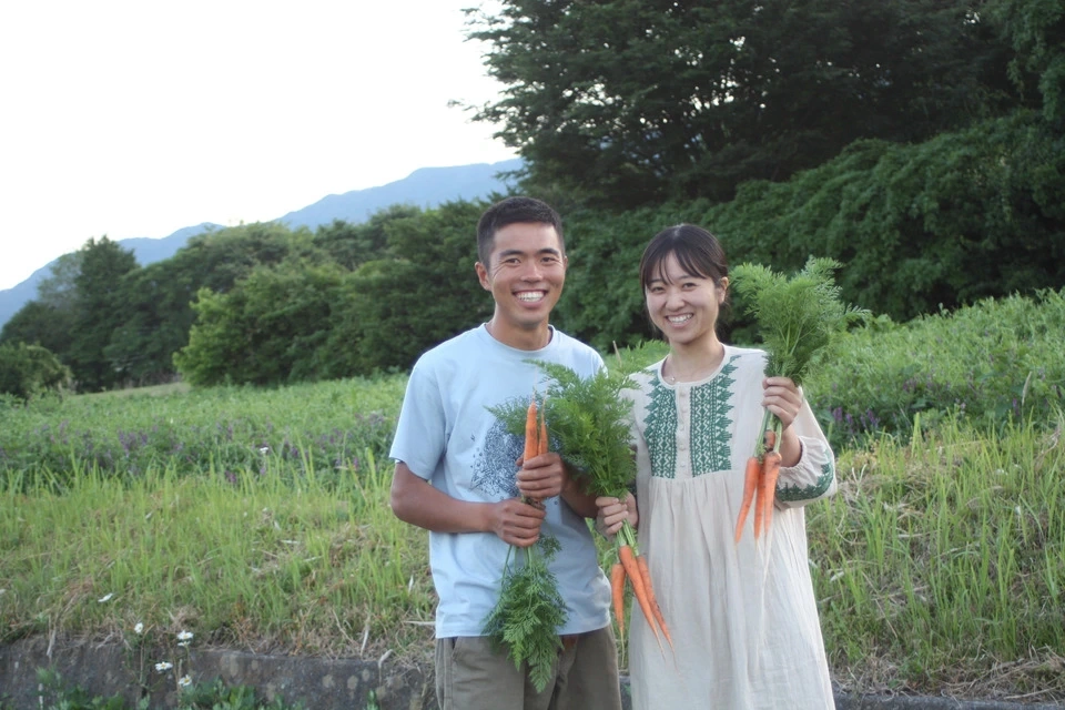 固定種にこだわった甘みの強い<人参>農薬・化学肥料・動物性肥料不使用