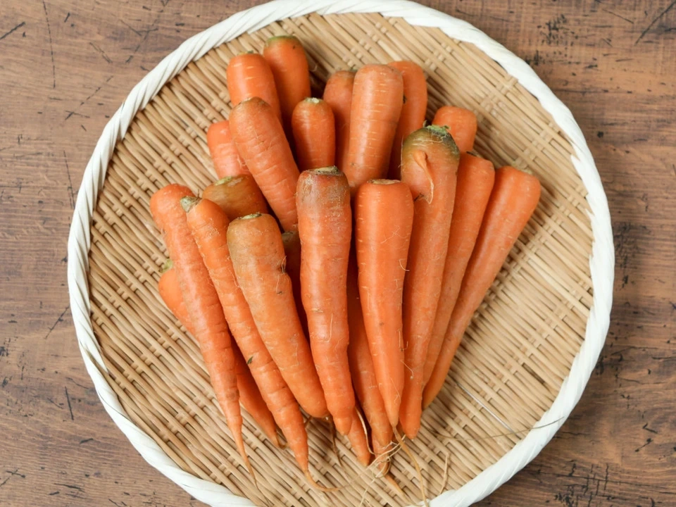 固定種にこだわった甘みの強い<人参>農薬・化学肥料・動物性肥料不使用