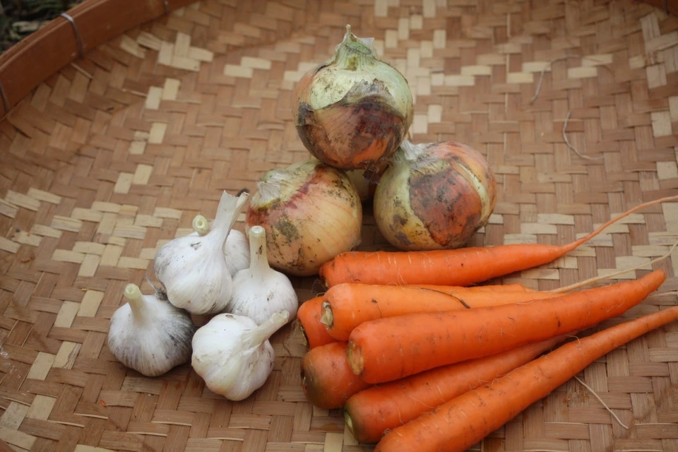 畑から直送!! ふたばたけの季節の野菜詰め合わせ!