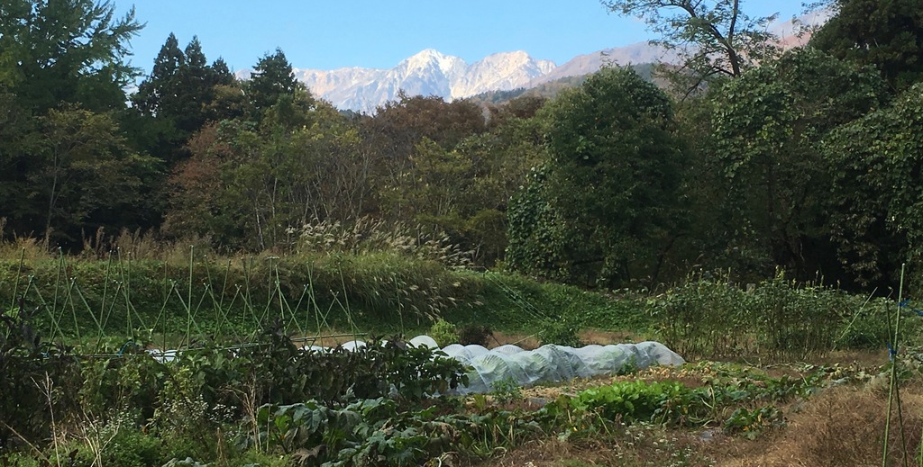 ふたつき農園メイン画像