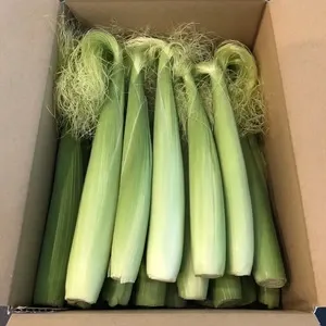 すずはな岐阜県産低農薬大豆フクユタカ15キロ 令和7年産】自然栽培「ふくゆたか大豆」200グラム（静岡県産）：静岡県