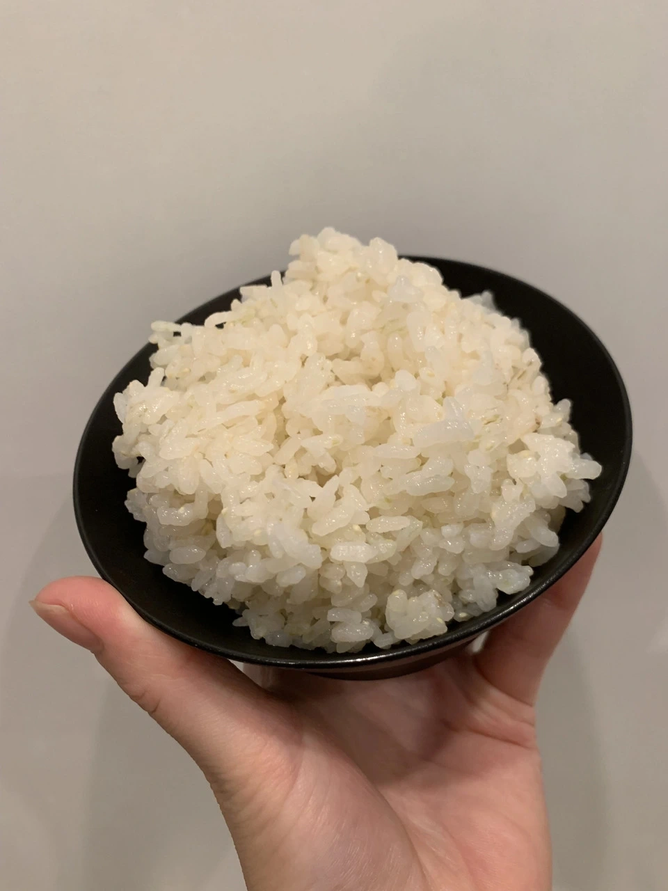 【令和8年産】自然栽培「ササシグレ」 玄米　（静岡県産）