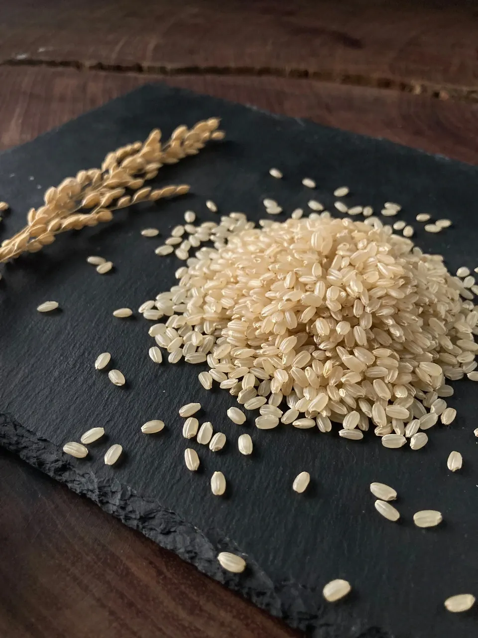 無農薬、無肥料で作る日本最高級玄米「薬寿米」 五膳貪 (千葉県