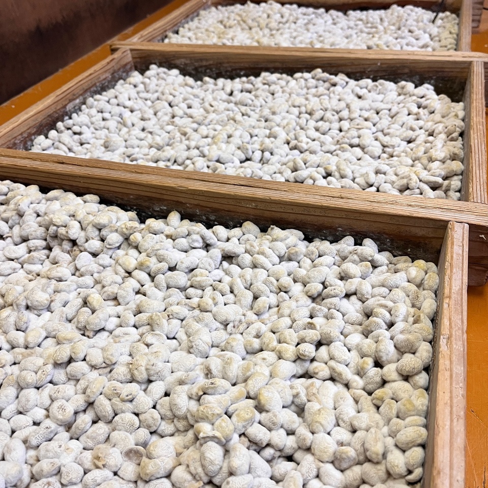 【自然栽培大豆使用】大地の実り 豆麹（まめこうじ） 500g