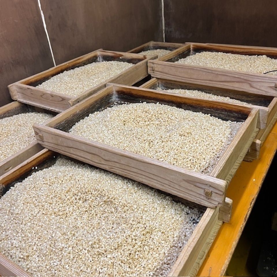 限定生産<発芽玄米麹(生麹)>大分県宇佐市産の自然栽培の玄米で手作り製法