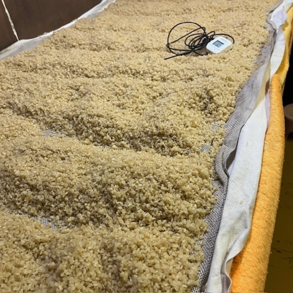 限定生産<発芽玄米麹(生麹)>大分県宇佐市産の自然栽培の玄米で手作り製法