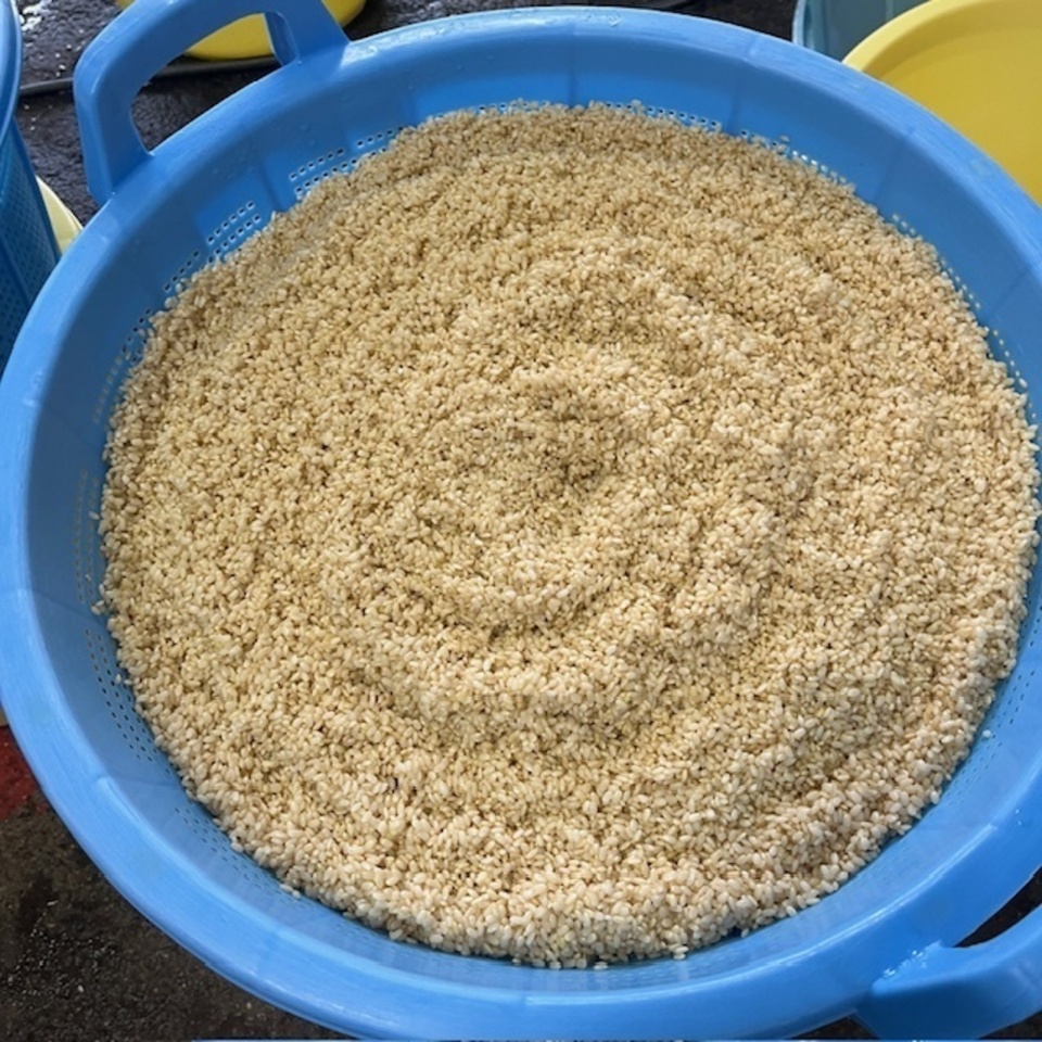 限定生産<発芽玄米麹(生麹)>大分県宇佐市産の自然栽培の玄米で手作り製法