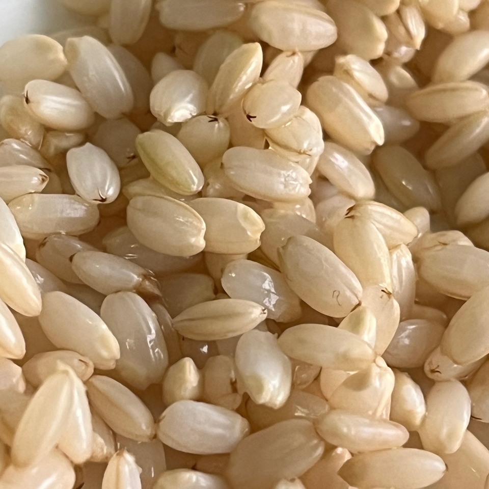 限定生産<発芽玄米麹(生麹)>大分県宇佐市産の自然栽培の玄米で手作り製法