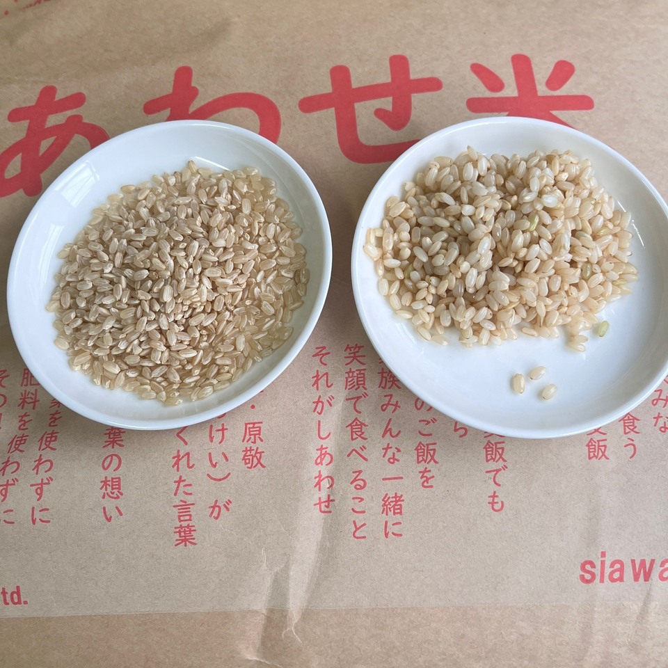 限定生産<発芽玄米麹(生麹)>大分県宇佐市産の自然栽培の玄米で手作り製法