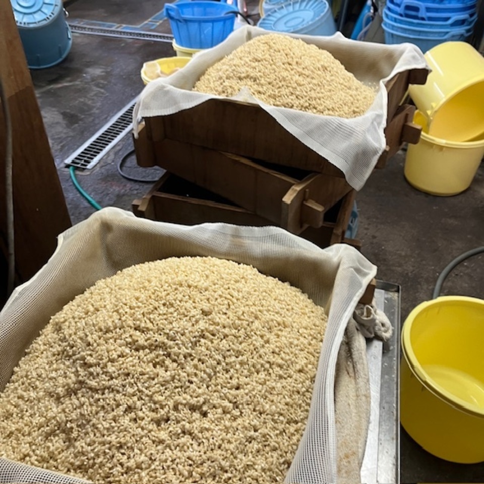 限定醸造<やさしいMISO 稔(玄米仕立て)>米作りから携わっている自然栽培の原材料使用