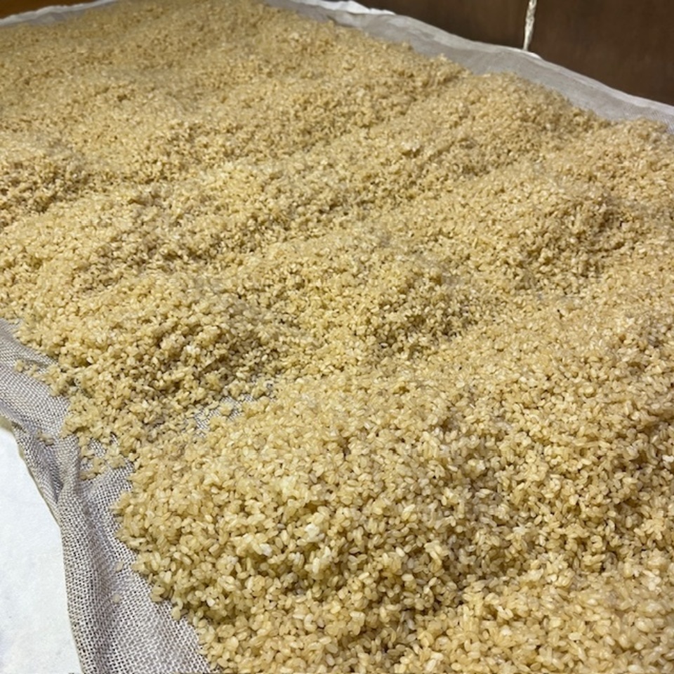 限定醸造<やさしいMISO 稔(玄米仕立て)>米作りから携わっている自然栽培の原材料使用