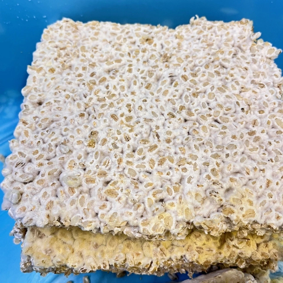 大麦キラリモチの麹で作る<手造り もろみみそ>自然栽培の大麦キラリモチの麹を使い甘辛く味付け