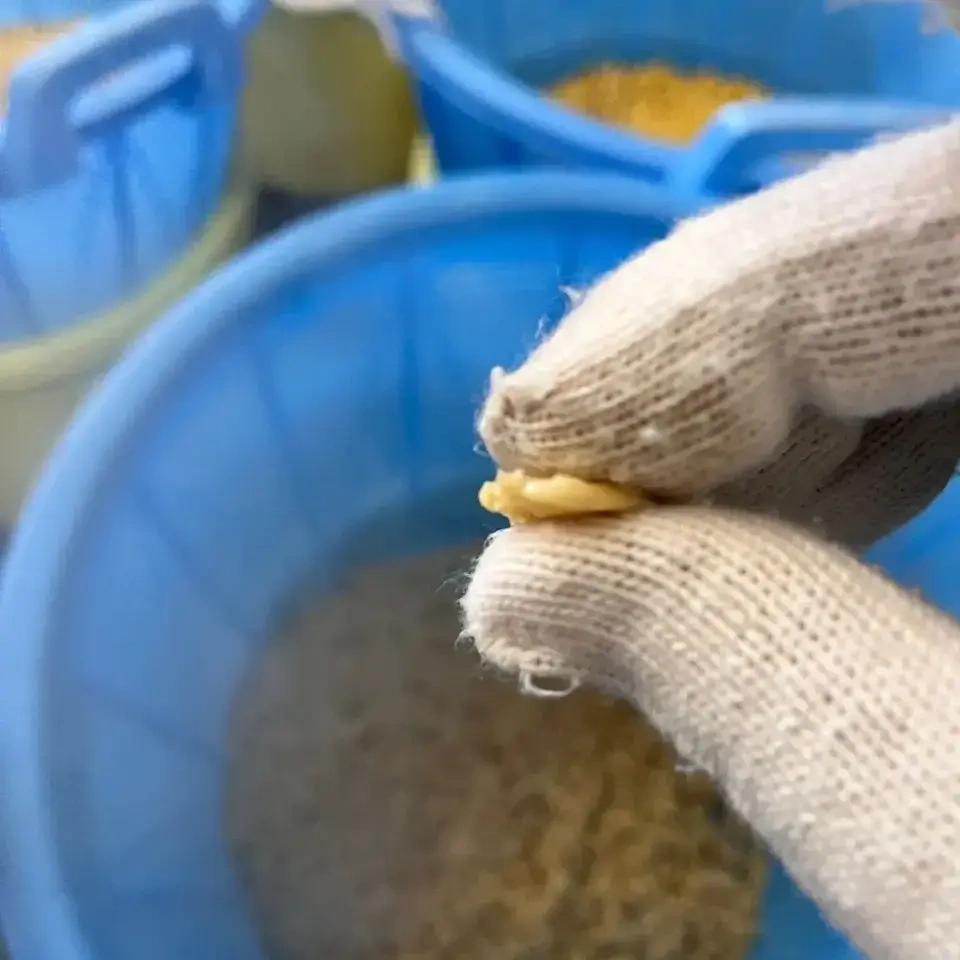 ＜2月発送分＞自然栽培米で仕込む「やさしいMISO」手づくりキット｜約4〜4.5kg仕上がり