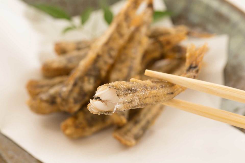 めひかり唐揚げ
