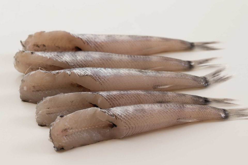 めひかり唐揚げ