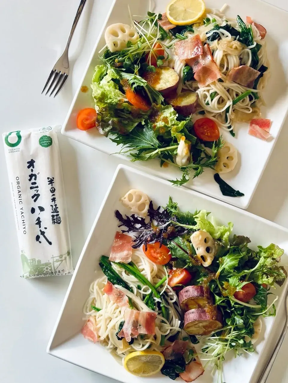 半田そうめん ＜オーガニック八千代＞国産有機小麦100％使用