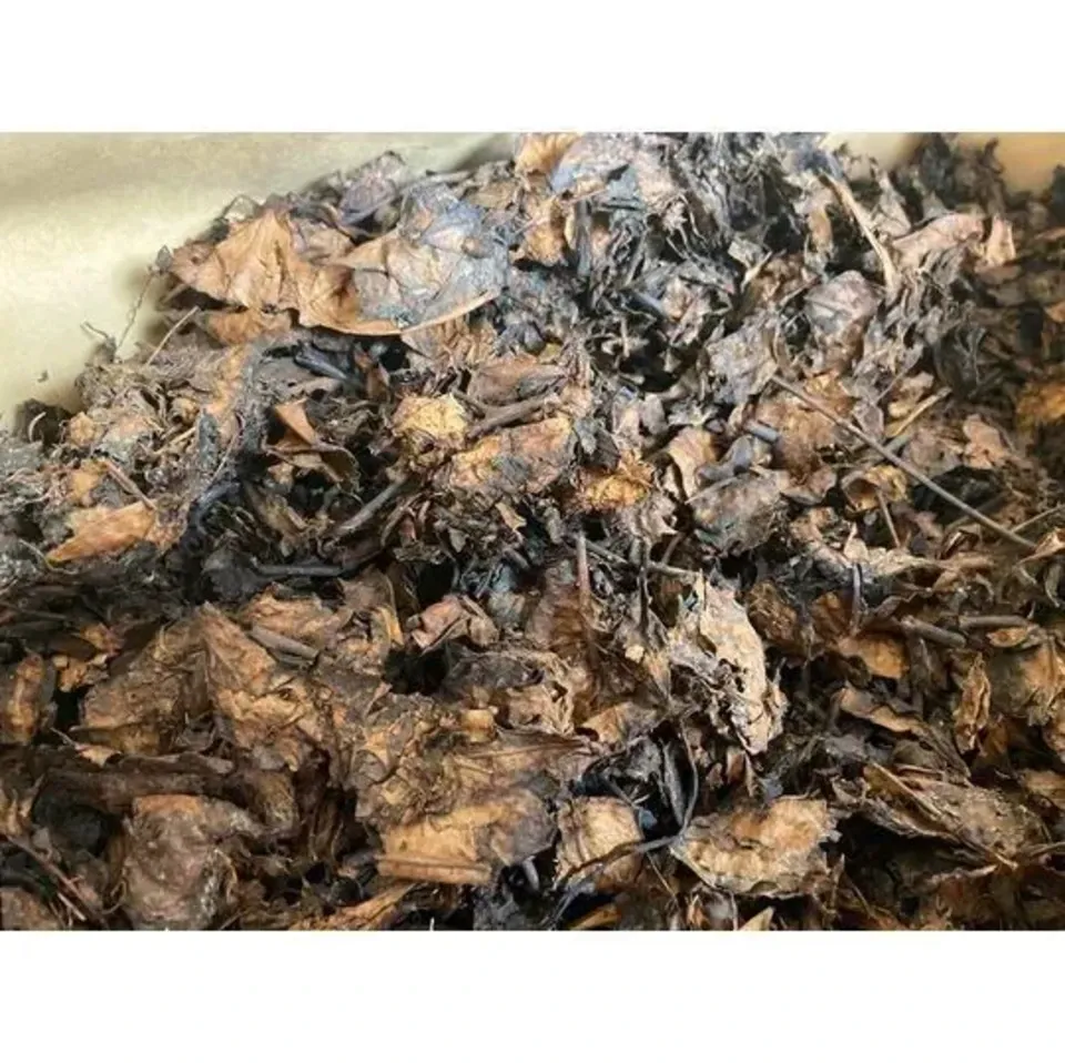 有機JAS認証取得済 ☆天然発酵うまぶどう茶・野ぶどう茶5g入り《煮