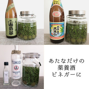 うまぶどうウマブドウ 馬ぶどう実 2400g（400gx6）焼酎漬用選別冷凍 91240-01.jpg