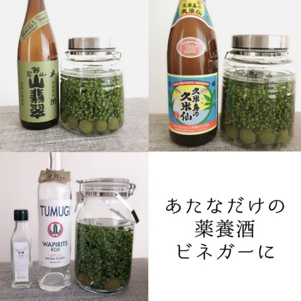 自然栽培☆瞬冷凍☆うまぶどう・野ぶどう果実【冷凍】 葉っぱ舎 (香川