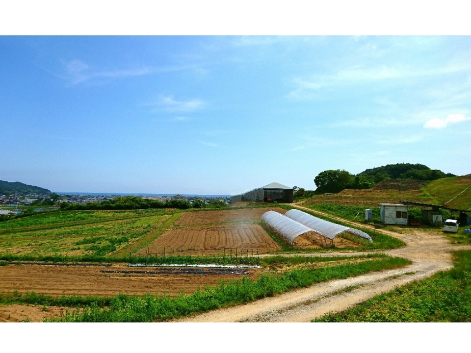 ビワの葉入り！秋摘みブレンドうまぶどう茶（自然栽培）★手軽なお湯出し＆煮出しもOK!