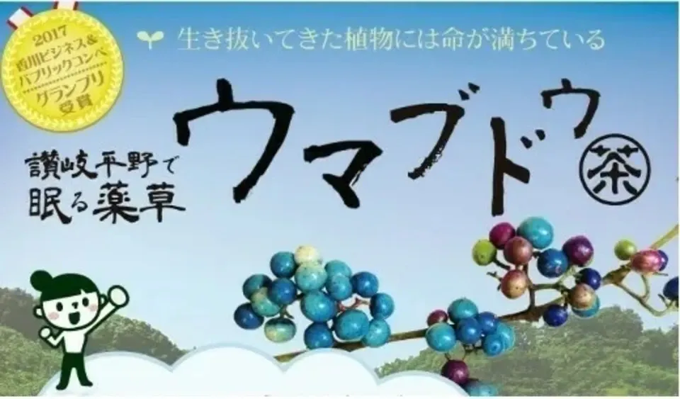 有機JAS認証取得済☆酵素が生きてる！ウマブドウ茶☆お湯だし3分