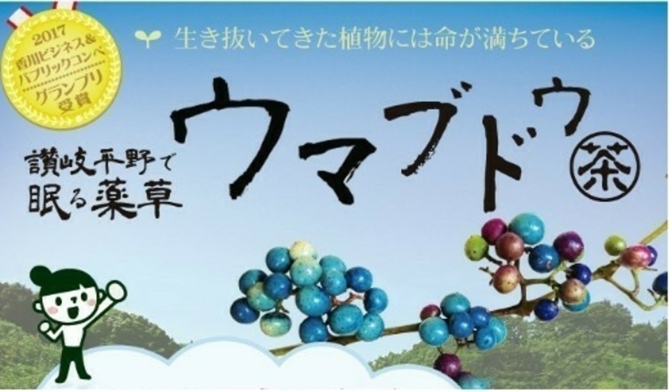 《煮出し用》自然栽培★酵素が生きてる！うまぶどう茶・野葡萄茶【新茶】独自の非加熱製法を是非！