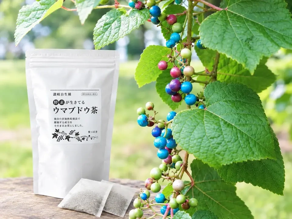 天然発酵・煮出し用】自然栽培☆うまぶどう茶・野ぶどう茶 5g入り