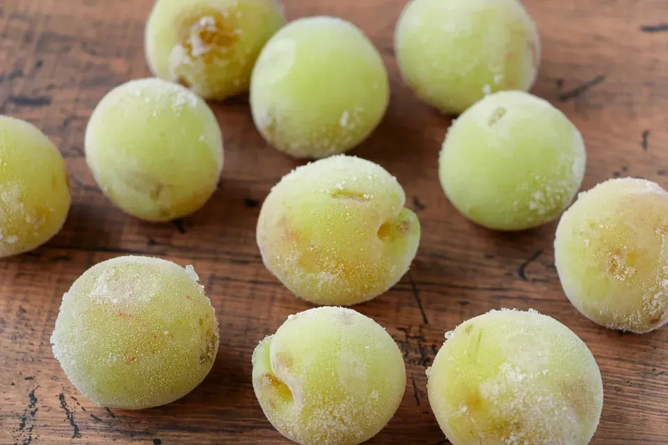 傷あり南高梅】農薬・化学肥料不使用栽培＜完熟・青梅・ミックス