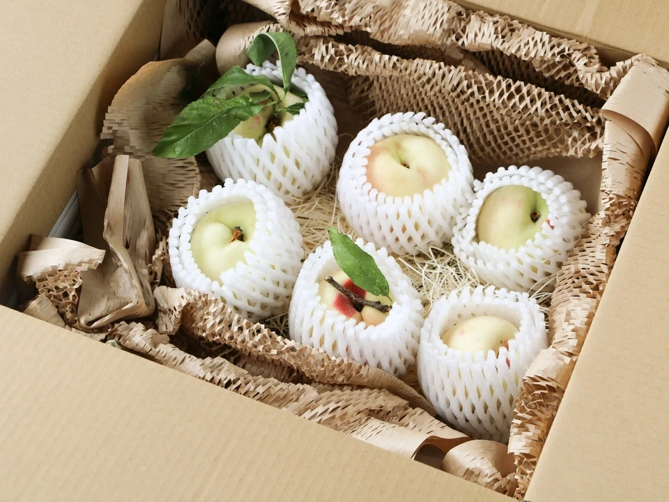自然栽培の桃<あかつき/日川白鳳>農薬・肥料不使用で皮まで食べられる桃を静岡からお届け