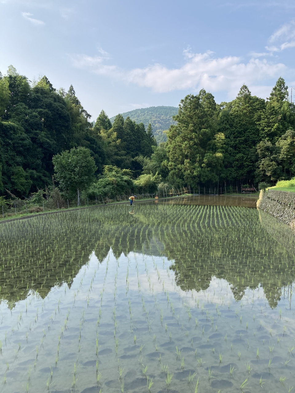 玄米揚げ餅（おかき）　100ｇ　「神楽　かぐら」化学調味料・保存料無添加