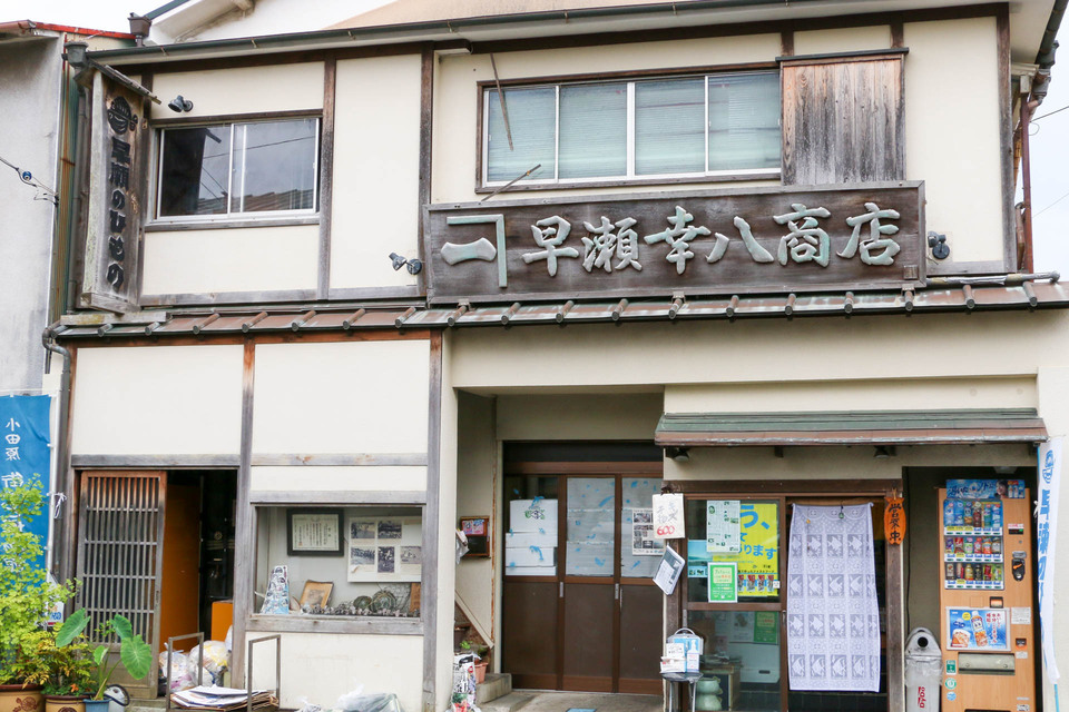 相模湾水揚げ 丸干し 塩と魚だけで干し上げた地魚丸干し