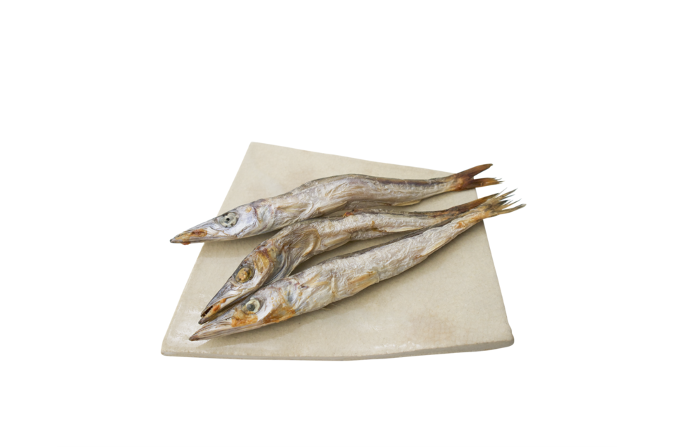 雨 丸干し5袋 相模湾水揚げ 丸干し 塩と魚だけで干し上げた地魚丸干し 早瀬のひもの