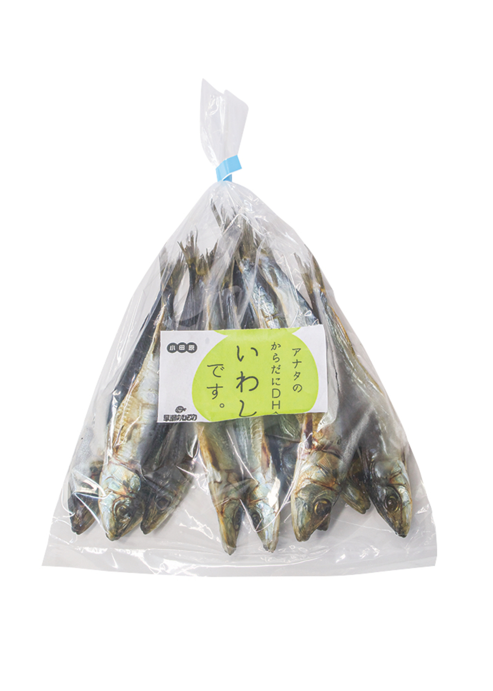相模湾水揚げ 丸干し 塩と魚だけで干し上げた地魚丸干し