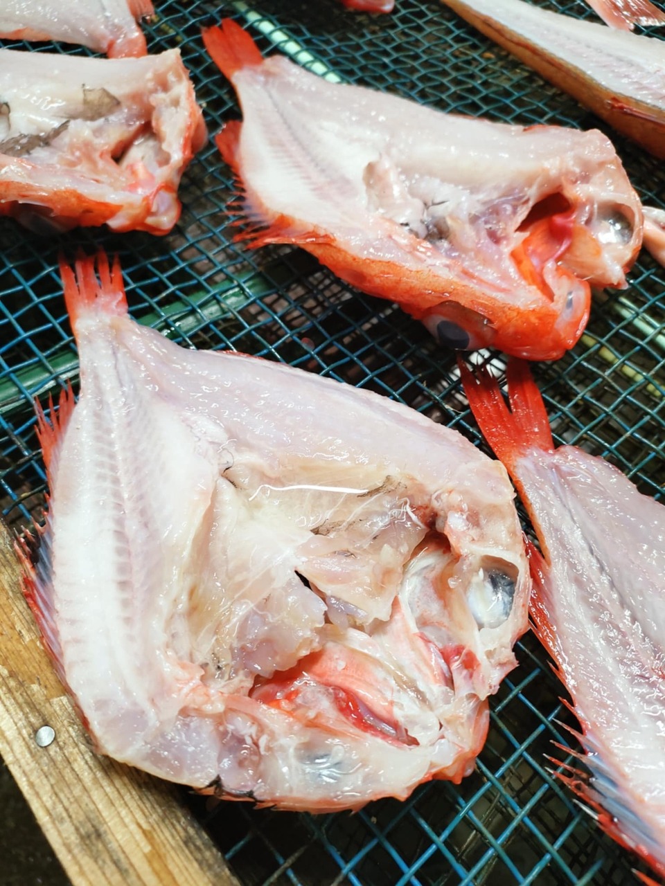 キリンのひもの 北海道のキンキ 早瀬のひもの (神奈川県産) 干物・燻製通販 - たべると