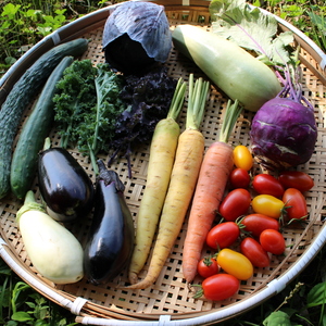 Healthy Soilの通販 - たべるとくらすと