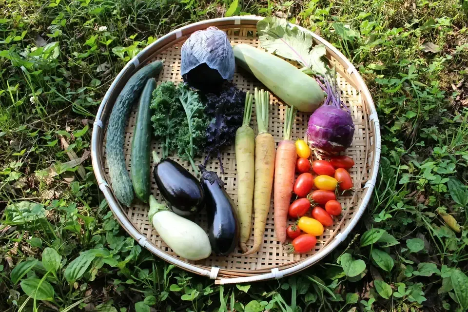 春夏お任せ野菜セット〈シンプル料理向け〉 Healthy Soil (茨城県産