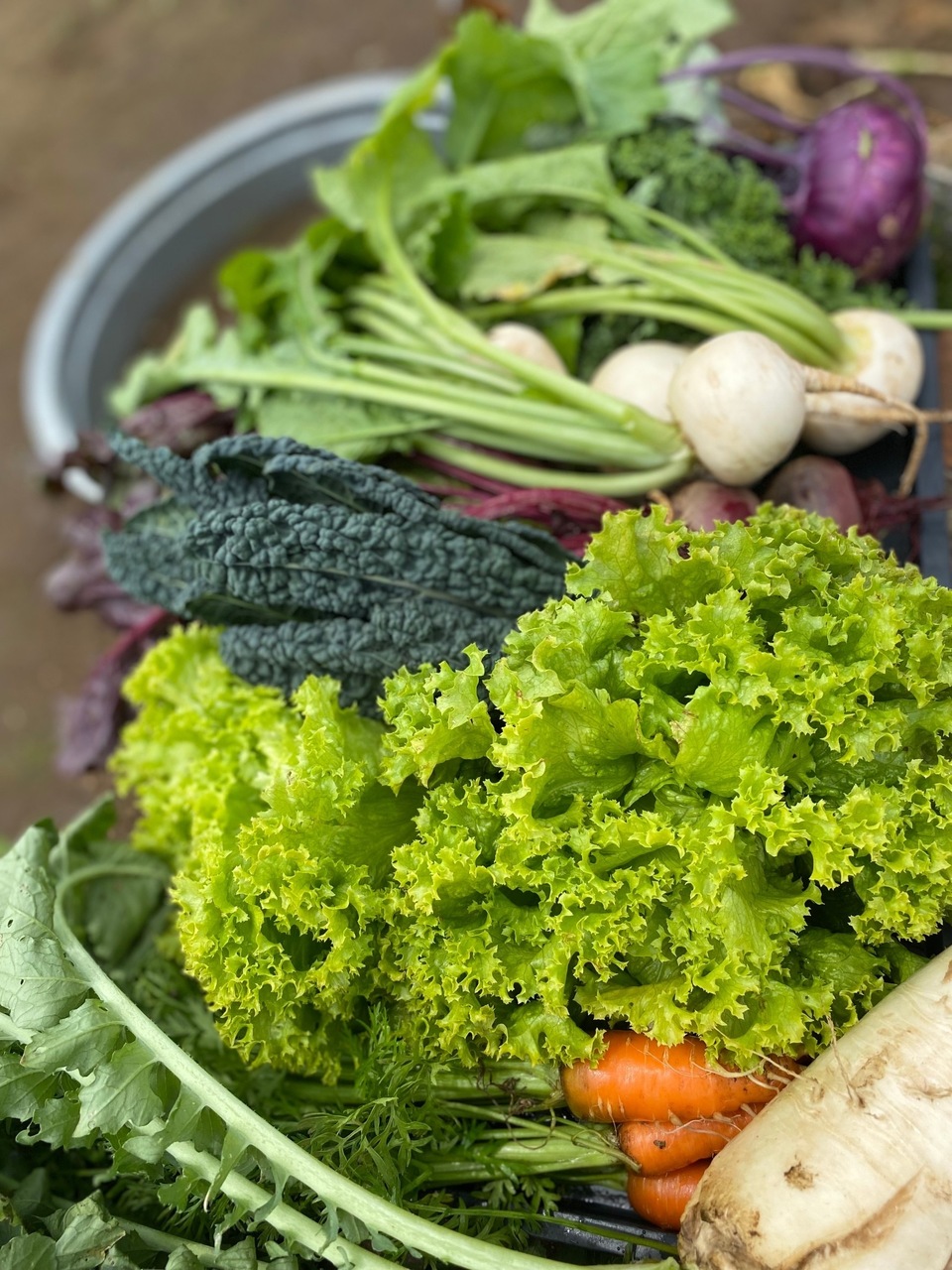 Natural farming 食美肌 重ね煮 シュタイナー 教育 自然療法 Healthy Soilについて - たべるとくらすと