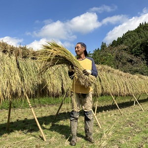 hikari 自然栽培米 天日干し