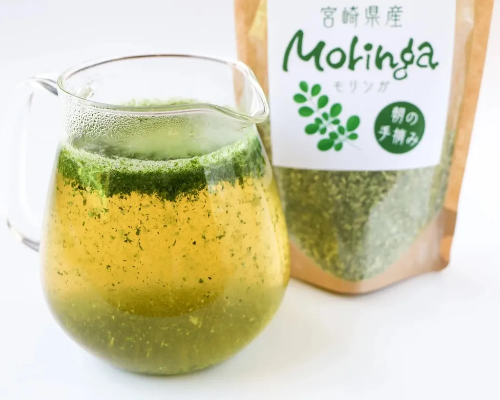 モリンガ 苗 無農薬 国産 長崎県産 スーパーフード 美容 健康 免疫力