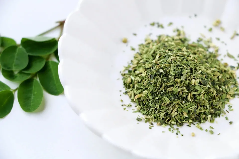 安心の宮崎県自家栽培・ 無農薬ハーブティー＜モリンガ＞優しい朝摘み