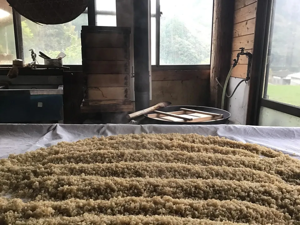 非加熱〈紅白生あま酒ギフトセット〉自然栽培米と天然水仕込み／火入れなし・麹菌そのまま