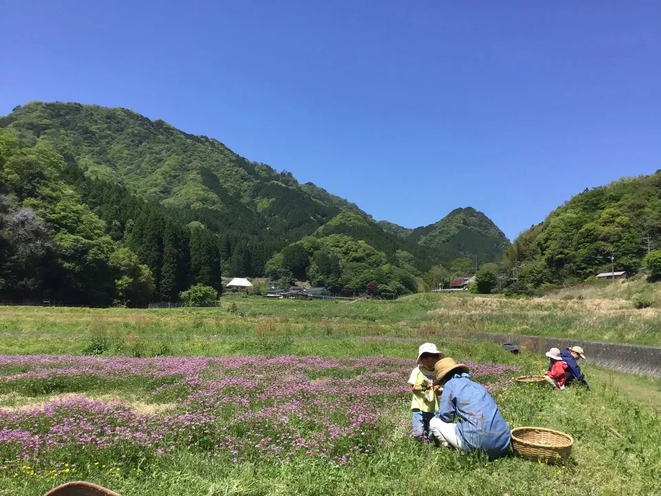 非加熱〈紅白生あま酒ギフトセット〉自然栽培米と天然水仕込み／火入れなし・麹菌そのまま