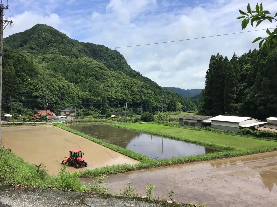 玄米麹味噌