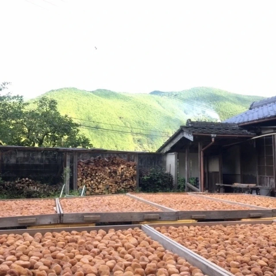 自然栽培で育った紀州南高梅<無添加 梅干し・梅酢・練り梅|3種おためしセット>農薬・化学肥料不使用
